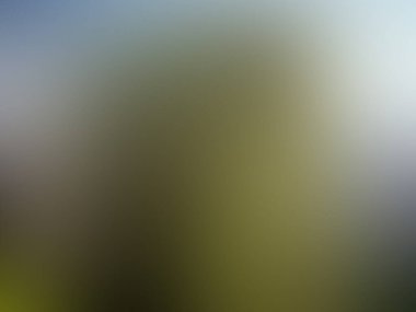 Açık gri gradyan renk arkaplanı. soyut bulanık renkli desen.