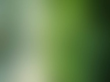 Bulanık yeşil renk arkaplanı