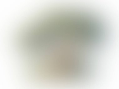 Projeleriniz için soyut bulanık arkaplan, grafik için pankart şablonu. Sanat için duvar kağıdına veya kutlama arkaplanına sahip duvar kağıdı, parlak şablon.