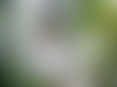 Bulanık ışık izleri renkli arkaplan