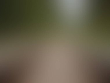 Bulanık arkaplan dokusu temasıName