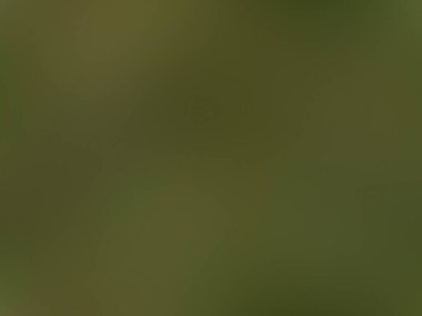 Bulanık arkaplan dokusu