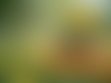 yumuşak pastel yumuşak renkli pürüzsüz bulanık arkaplan