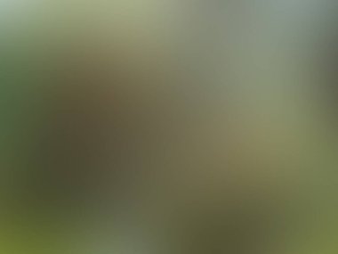 soyut renkli bulanık arkaplan