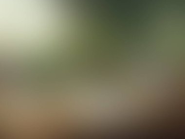 abstract pastel soft colorful smooth blurred textured background off focus toned in gold color