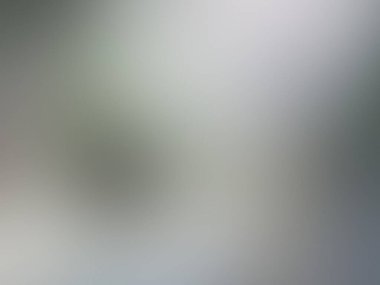 Arka plan bulanık. Vektör çizim