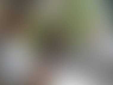 Bulanık arkaplan dokusu, soyut illüstrasyon