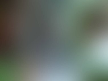 yeşil gradyan soyut / güzel bulanık arkaplan