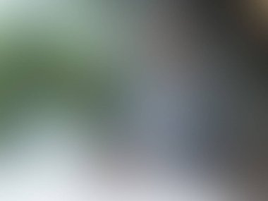 Açık gri vektör soyut desen. Soyut ve gradyan olarak bulanık renkli çizim. İş tasarımınız için yeni biçim.