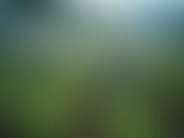 Bulanık eğimli arkaplan, renkli doku, kapak tasarımı için tasarım