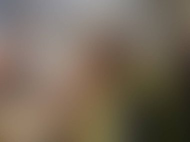 Aydınlatma gradyan hareketi arkaplanı bulanıklaştırdı. renkli çizgiler