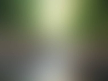 Bulanık ışık arka planı - Renkli güzellik