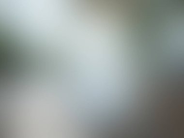 soyut pastel yumuşak desenli arkaplan bulanık tonlu