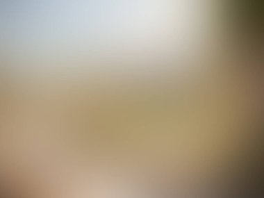 Bulanık ışık izleri renkli arkaplan