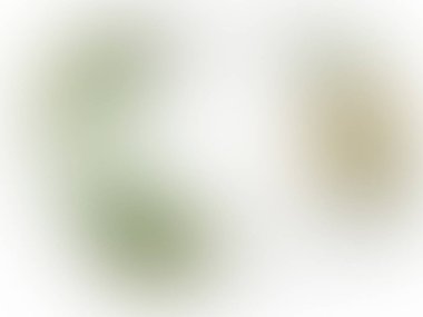 soyut arkaplan, renk gradyanı