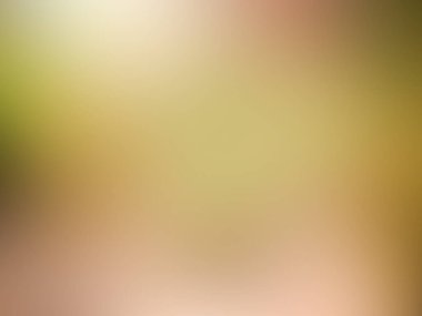 Bulanık ışık renkli vektör arkaplanı