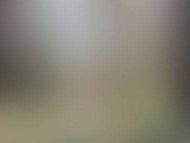 ışık soyut gradyan hareketi bulanık arkaplan