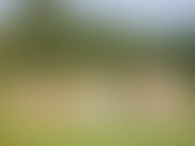 Yumuşak pastel renkli bulanık arkaplan, pastel gradyan, yeşil, kahverengi ve beyaz renkler.