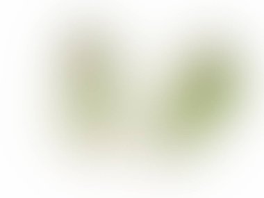 Arka plan bulanık. yeşil gradyan. Soyut gradyan arkaplan. sunum için