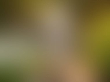 soyut pastel yumuşak renkli dokulu bulanık tonlu arka plan odak tonlu. duvar kağıdı ya da web tasarımı olarak kullan