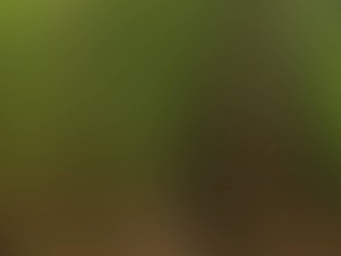 Renkli, pürüzsüz pankart, pürüzsüz ekran duvar kağıdı için soyut bulanık arkaplan. Basit gradyan