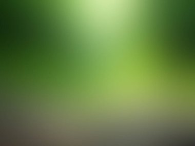 yeşil bulanık arkaplan / güzel zarif arkaplan