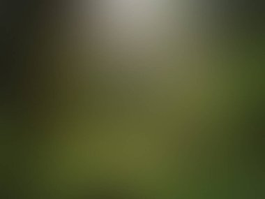 Bulanık arkaplan, renkli doku