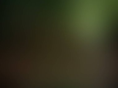 Renk eğiminde bulanık doku