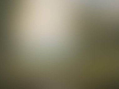 Aydınlatma gradyan hareketi arkaplanı bulanıklaştırdı. Renkli çizgi desenli duvar kağıdı