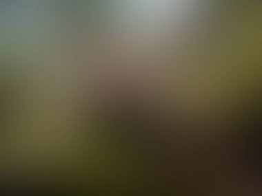 soyut modern yumuşak renkli pürüzsüz bulanık arkaplan.