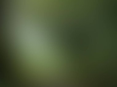 soyut yeşil arkaplan, vektör