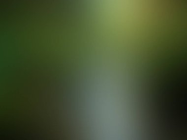 yeşil bulanık arkaplan, eğim