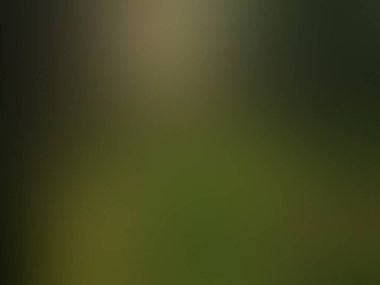 Bulanık arkaplan dokusu, gradyan ağ