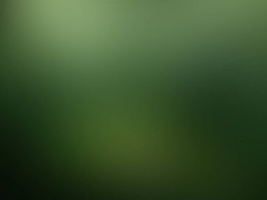 Soyut degrade hareket ışık arka plan bulanık. Renkli çizgi