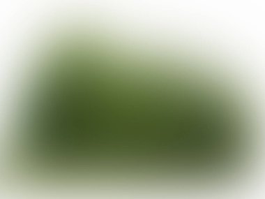 soyut yeşil renk bulanık vektör arkaplanı