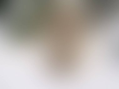 Açık kahverengi dokunun bulanık arkaplanı