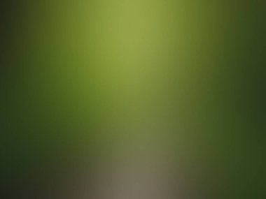 Bulanık açık yeşil gradyan arkaplan, moda renk