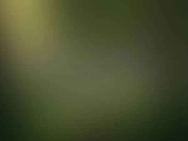 Θολή Φόντο Κλίση Ταπετσαρία Σκούρο Πράσινο — Φωτογραφία Αρχείου