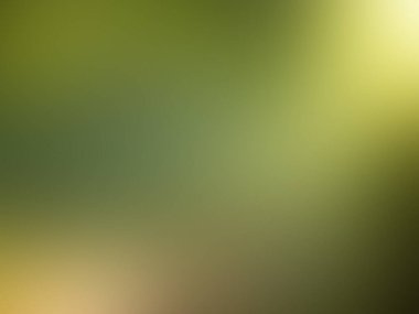 yumuşak yeşil arka plan