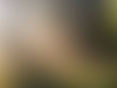 Bulanık renkli doku arka plan