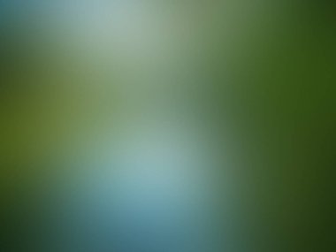 Bulanık yeşil arkaplan dokusu