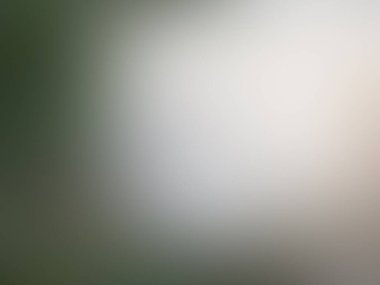 Soyut degrade hareket ışık arka plan bulanık. Renkli çizgi