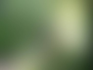 yeşil bulanık gradyan ağ arkaplanı, vektör illüstrasyonu