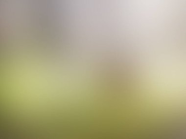 Tasarım için bulanık arkaplan dokusu