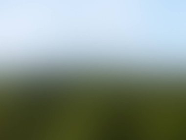 Soyut degrade hareket ışık arka plan bulanık. Renkli çizgi