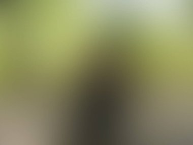 Bulanık ışık izleri renkli arkaplan