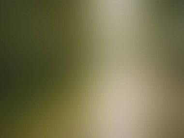 Aydınlatma gradyan hareketi arkaplanı bulanıklaştırdı. renkli çizgiler