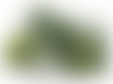 Soyut pastel yumuşak renkli bulanık dokulu arkaplan yeşil tonlu odak tonundan uzak