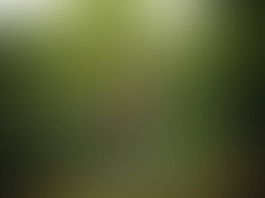 Bulanık arkaplan, tema parlak