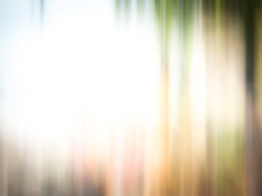 Açık yeşil ve beyaz bulanık arkaplan